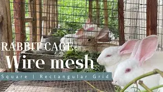 The Right Wire Mesh for Rabbit Cages: Squared vs Rectangular Grid, Spacing, and Tips