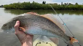 TUTORIAL: Sight Fishing Mosquito Lagoon Redfish