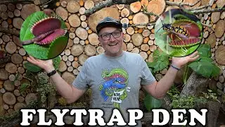 Inside My NEW Venus Flytrap Den &ndash; Behind the Scenes with Mr Naked Landscaper