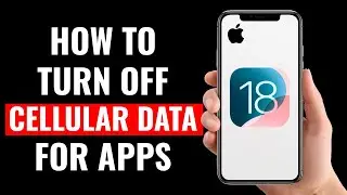 How to Turn Off Cellular Data for Apps on iPhone (iOS 18)