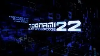 Toonami - 2013 Bumps Hodgepodge Part 22 (HD 1080p)