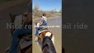 Nothing like a relaxing trail ride #trailriders #trailriding #horse