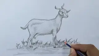 Easy Goat Drawing Step by Step for Beginners 🐐|| How to Sketch a Goat Step by Step 🐐