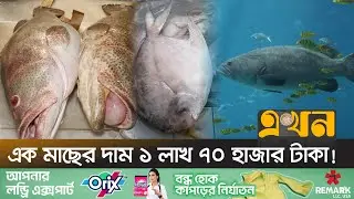 অনলাইন প্ল্যাটফর্মে বিক্রি লাখ লাখ টাকার সামুদ্রিক মাছ | Online Business | Fish Market | Chattogram