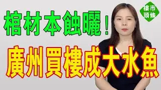 暴跌5成！廣州樓市大逃殺！跳樓價冇人接！棺材本都蝕曬啊！網紅盤齊齊玩完！庫存壓力顯著！徹底失守！炒房客被套樓市，成咗史詩級大水魚！進退兩難！#房地產 #大灣區樓盤 #投資 #廣州樓盤 #房價 #樓市