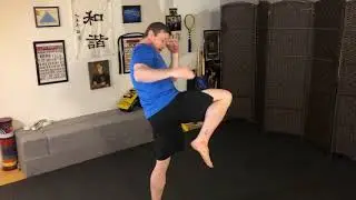 UCLA Martial Arts Online Training - Lower Body Blocks w/ Paul McCarthy
