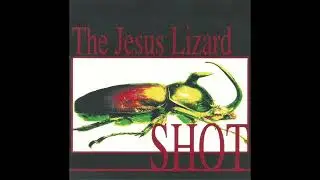 The Jesus Lizard - Too Bad About The Fire