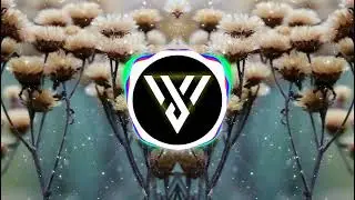 Roa - Northern Town [VeRo Sounds]