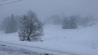 2017-12-16 Altglash&uuml;tten-Falkau Schneefall