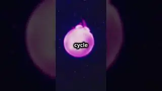3 Bizarre  Mysteries Beneath the Deep Sea #shorts #unexpectedfacts  #facts #enigmaticcreatures