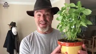 Potting Basil and hanging with grandgirl