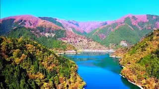 Top 15 Nature Videos Within 7 Minutes in HD,Amazing Nature Videos in hd,Planet Earth,nature scenery