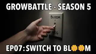 GROWBATTLE 5 💥 BASE vs  BOOST 🥦 EP07 SWITCH TO BLOOM 🌱 2x Wifi OG Haze 💪🏻 by Vivosun