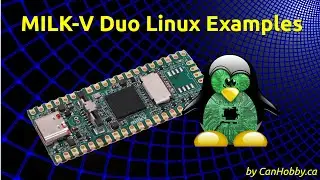 MilkV Duo Linux bash scripting