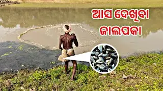 ଆସ ଦେଖିବା ଜାଲପକା!
