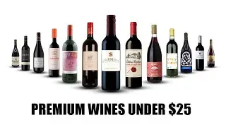&ldquo;15 Amazing Red Wines Under $25 You Need to Try (Explained in 13 Minutes!)&rdquo;
