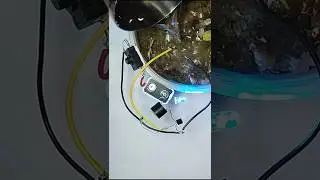 Alarm system to prevent plant drying / science fair project #circuit #sciencefairproject #bc547