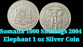 СЕРЕБРЯНАЯ МОНЕТА СЛОНА СОМАЛИ 2004 ГОДА #монета #коллекционермонет