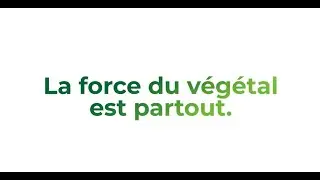 VALHOR, toutes les forces du V&eacute;g&eacute;tal