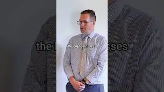 Should property management fees be regulated across Australia? | Entry Education RTO No: 41529