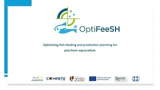 OptiFeeSH: Optimizing fish feeding and production planning for precision aquaculture