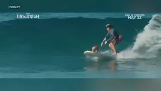 Surfing Oahu dog makes a splash in new &lsquo;Lilo & Stitch&rsquo; movie