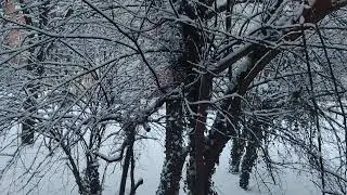 Early Morning Snow, 11.01.2026, Bucharest, #home