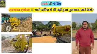 मक्के की थ्रेशिंग: ज्यादा बारिश के बाद भी निकला बम्पर उत्पादन!🌽 जानें कौन सी वैरायटी रही सबसे बेस्ट?