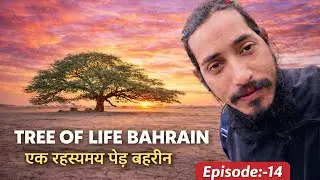 TREE🌴OF LIFE BAHRAIN🇧🇭|एक रहस्यमा पेड़ बहरी|A MYSTERIOUS TREE IN DESERT|زندگی کا درخت بحرین🌴|EPI:-14