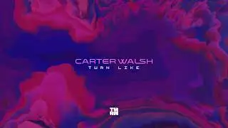Carter Walsh - Turn Like (Official Music Visualiser)