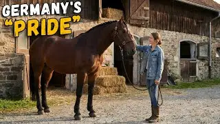 The German War Horse That Conquered the Modern World