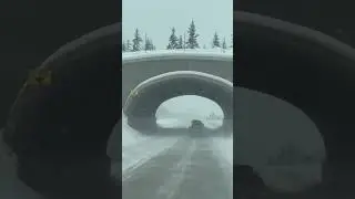 Driving in Alberta, Canada 🌨️ 🇨🇦 #winter2026 #winter #driving #canada