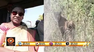 Botswana transfers cheetahs to India under Project Cheetah | Project Cheetah