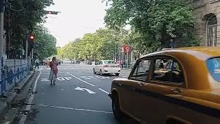 🚦Kolkata is the busiest signal for a few moments🚦🚕🚕🚗🚗🏍️🏍️🚦