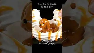 Your Birth Month is Your Pet | AI ASMR Part 2