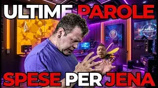 JENA MI HAI ROTTO I CO*!?*NI ! SPARISCI !