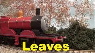 Leaves