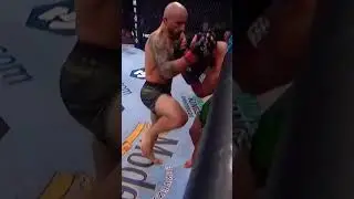 UFC 290. Александр Волкановски - Яир Родригес(нокаут)