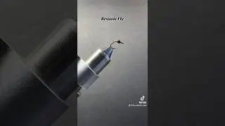 How to tie a brassie fly. #flytying #flytyingtutorial #howto #flyfishing #nymphfishing
