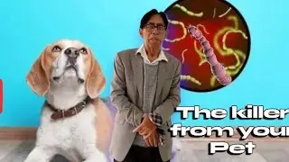  &ldquo;Echinococcus granulosus&rdquo; &ndash; The Tiny Killer Parasite!Dog tapeworm Part#01|lecture by DrQadarkhan