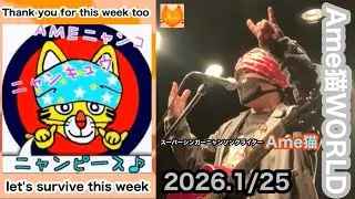 🐈‍⬛ 今春 タワーレコード【 まねきねこ / ダッキー 】💿CD発売😻次回の Ame猫ライヴ♪ は 2026.2/17  Tue ⏰19:10〜30分⏰ 東京自由が丘グランチェルト…待ってるニャ😻
