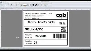 cablabel S3 tutorial: Label set up