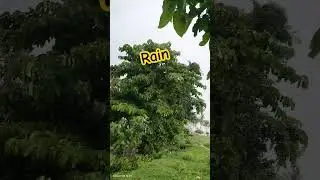 Thank you for the Rain 🙏