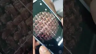 OPPO F21 Pro - How Macro Camera works | WKS Technology