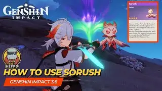 How to use Sorush Genshin Impact 3.6