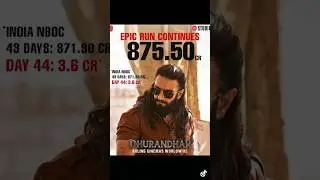 Dhurandhar Movie  Net Box Office Collection🔥🔥#dhurandhar #ranveersingh #youtubeshorts #shorts #viral