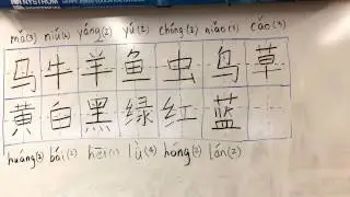 CSL Book 1 chapter 6 vocabulary