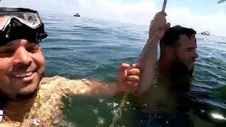 scalloping in crystal river