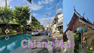 브이로그 ㅣ🇹🇭 태국 치앙마이 혼자여행ㅣ 4박5일 몰아보기ㅣ 작년여행 가을에 올리는 채널 어떤데 ㅣ 찡짜이마켓 선데이마켓 반캉왓 지라스파 럭키베트남식당 쿠킹클래스 goodgoods