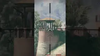 Precision Kill